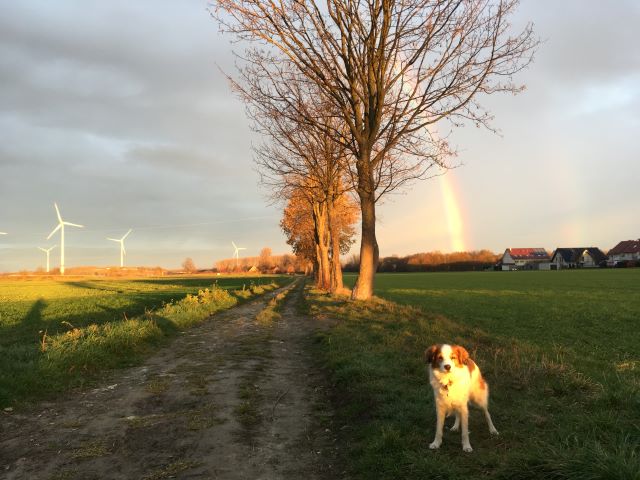 Regenbogenbrücke